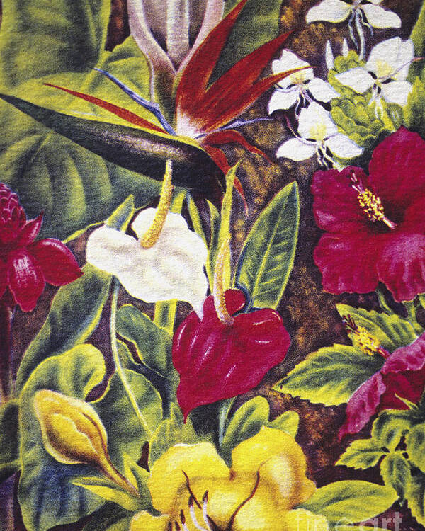 vintage tropical art