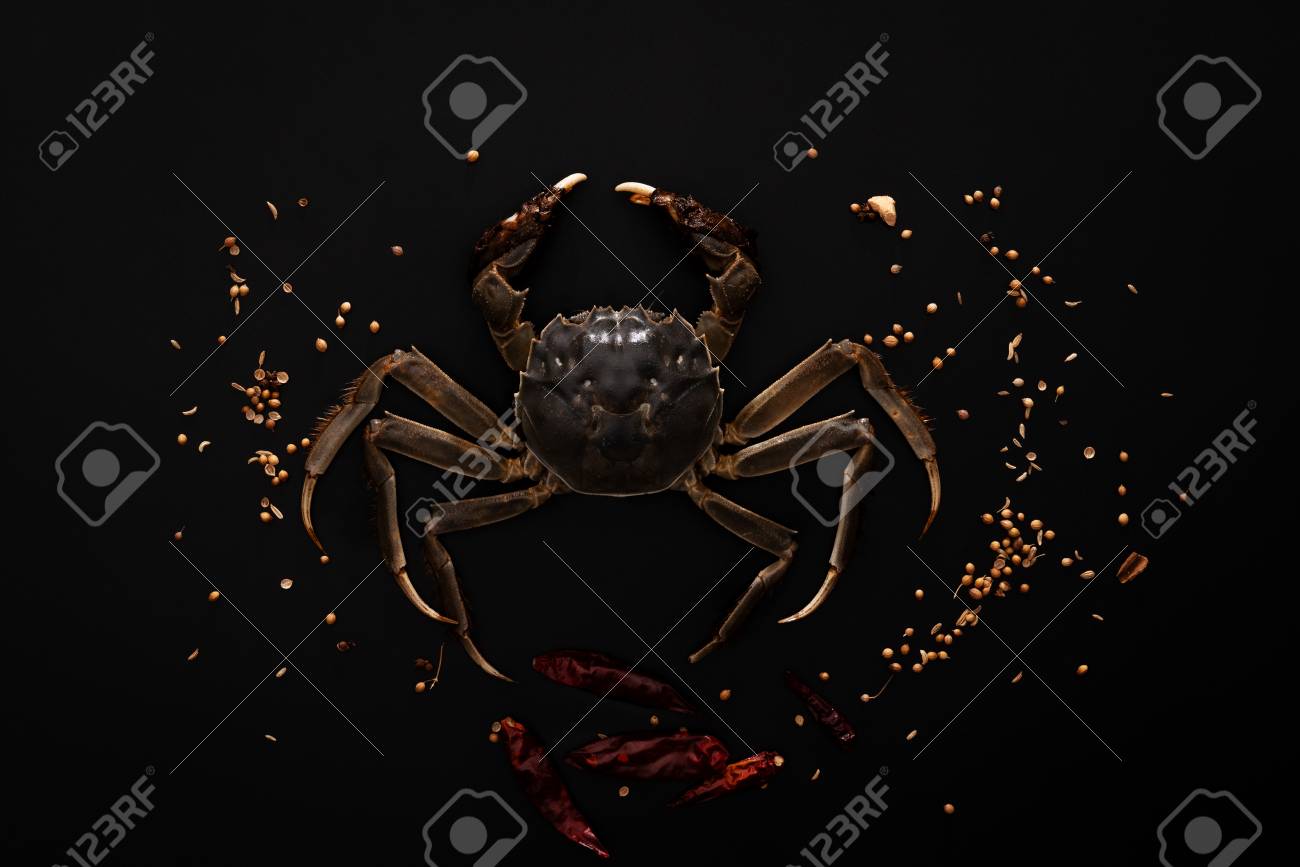 black hairy crab