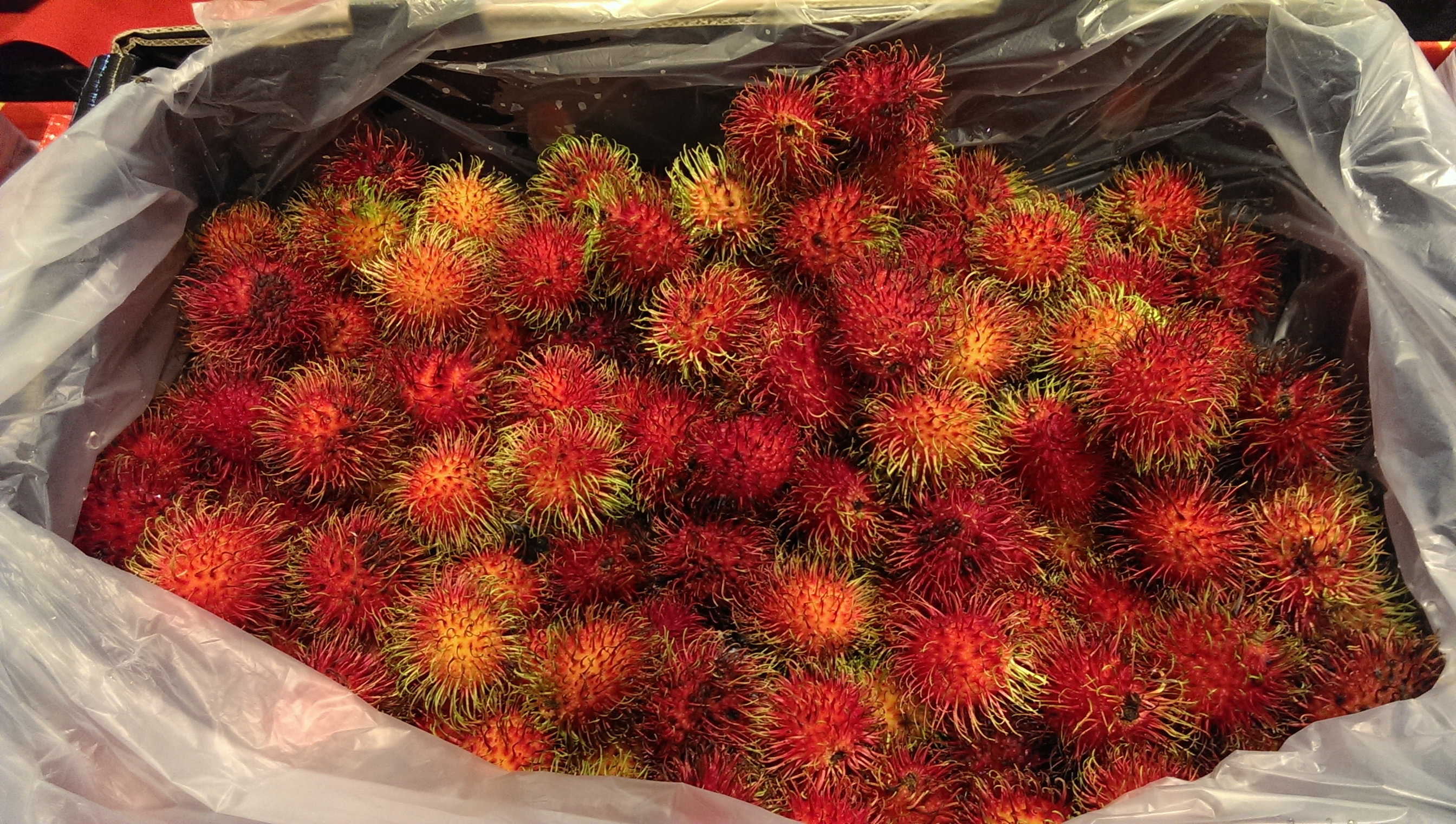 hairy strawberry fruit