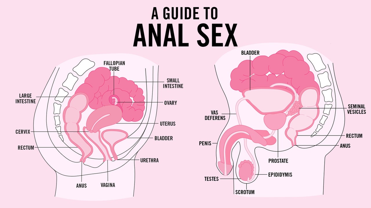 anal all things sex