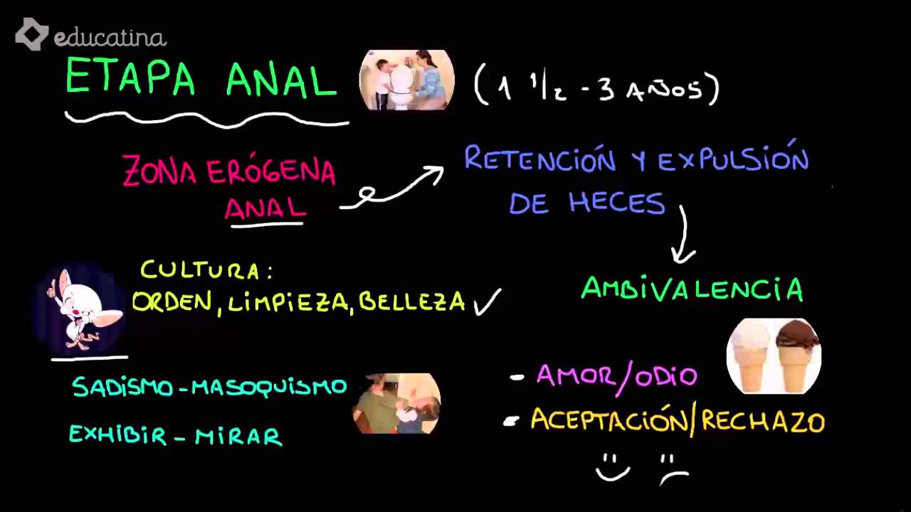 anal y etapas oral
