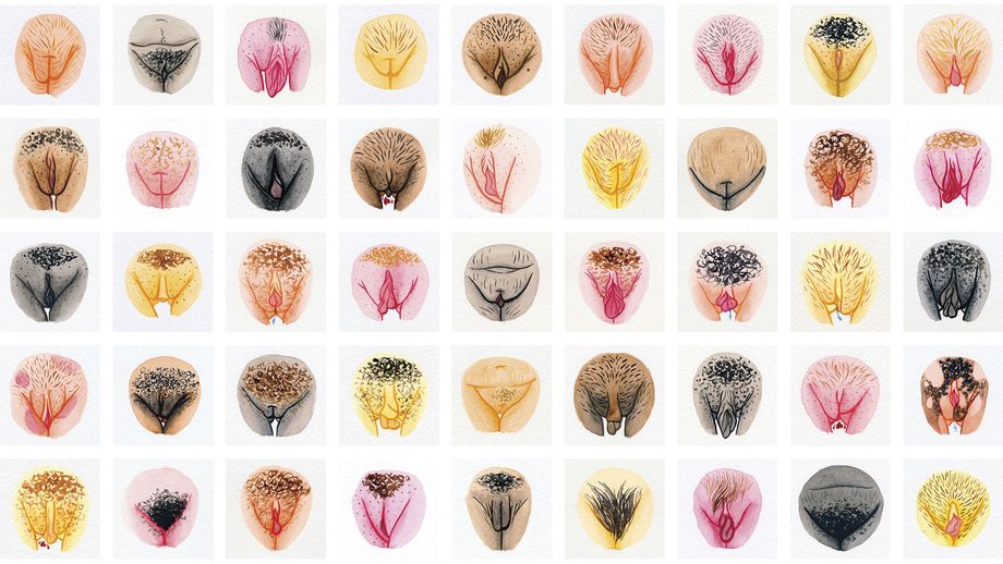 vulva of pictures the