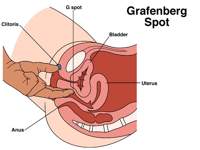 g spot and orgasm