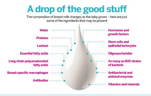 nutrients breast milk of human
