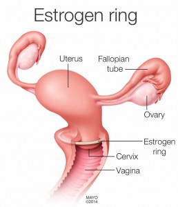 how does last atrophy long vaginal